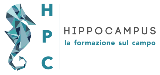hippocampus - formazione e vendita sul campo